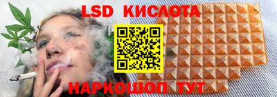 стаф Моздок