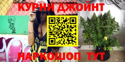 шишки Можайск