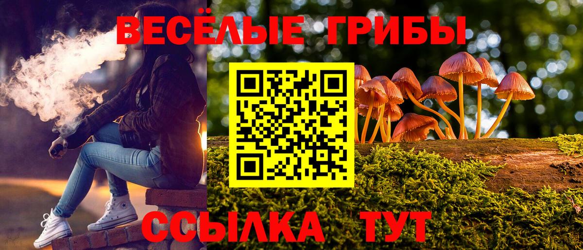 Псилоцибиновые грибы Psilocybine cubensis Сургут