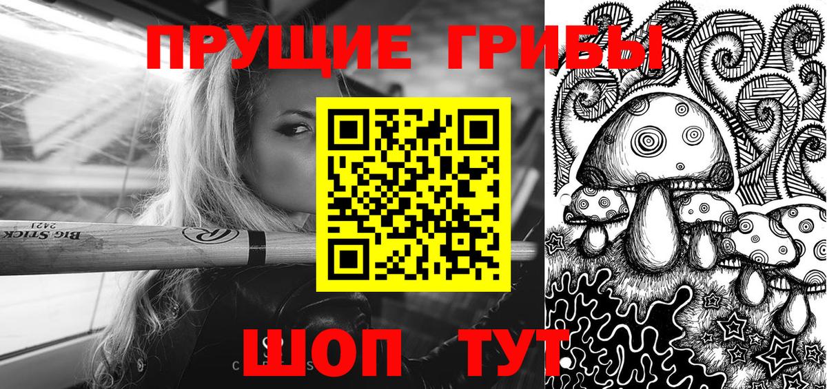 Псилоцибиновые грибы мицелий  Псилоцибиновые грибы Cubensis  Сургут  Вход с VPN 